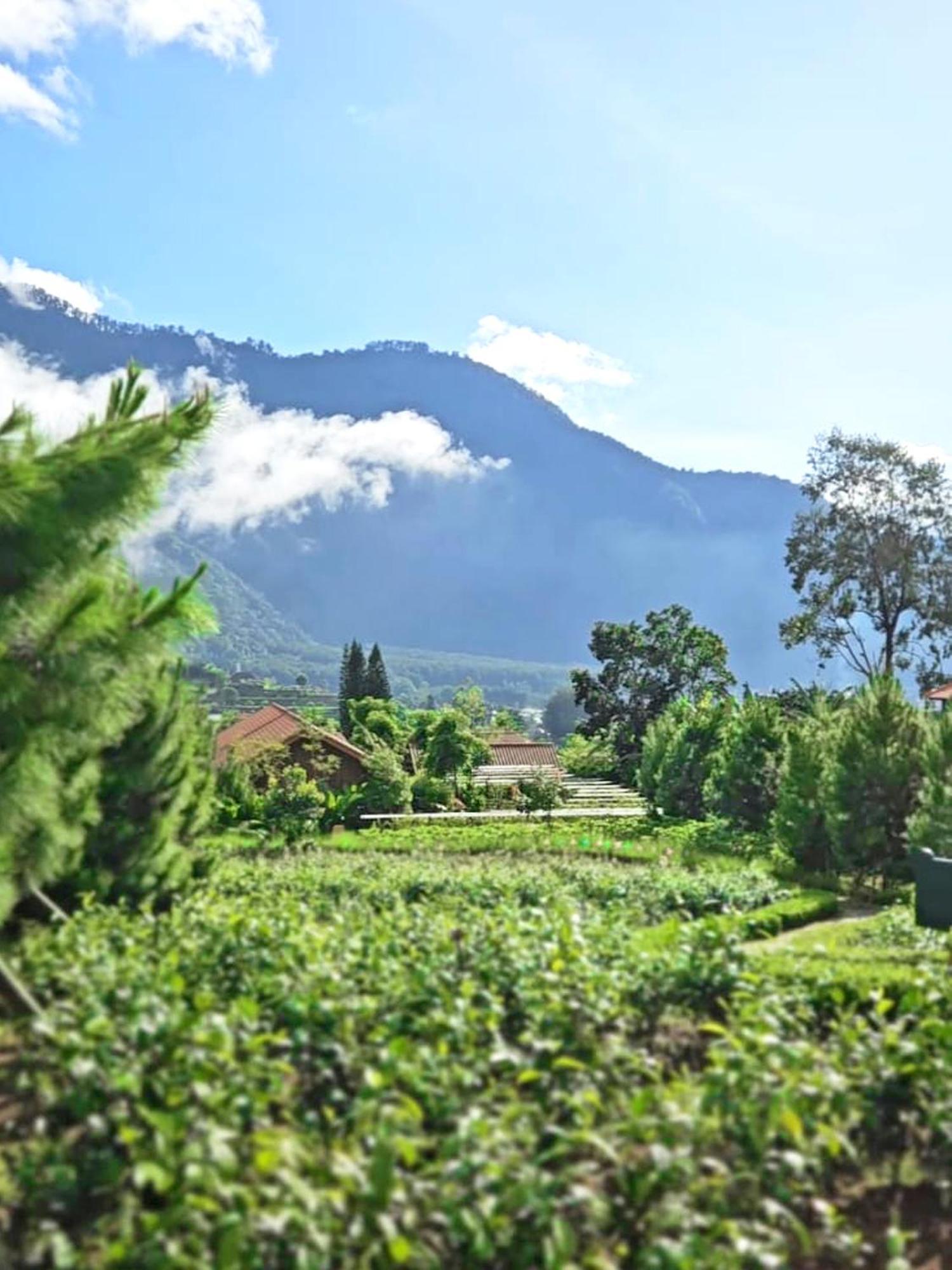 Dusun Bedugul Asri Hotel Exterior foto