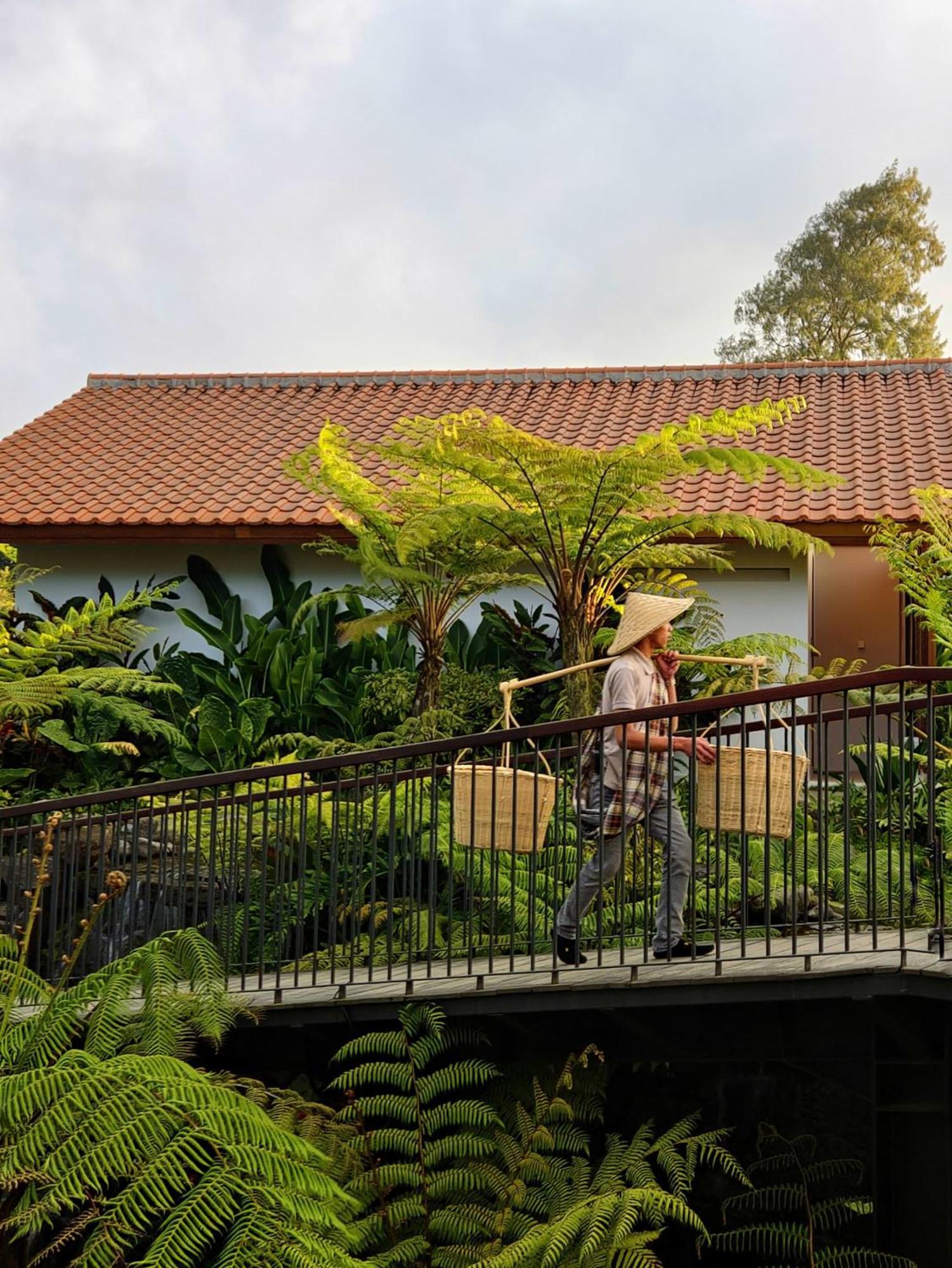 Dusun Bedugul Asri Hotel Exterior foto